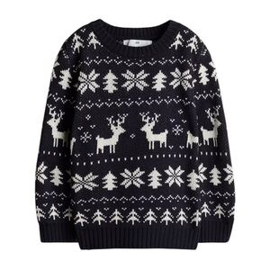 New H&M Jacquard Knit Sweater